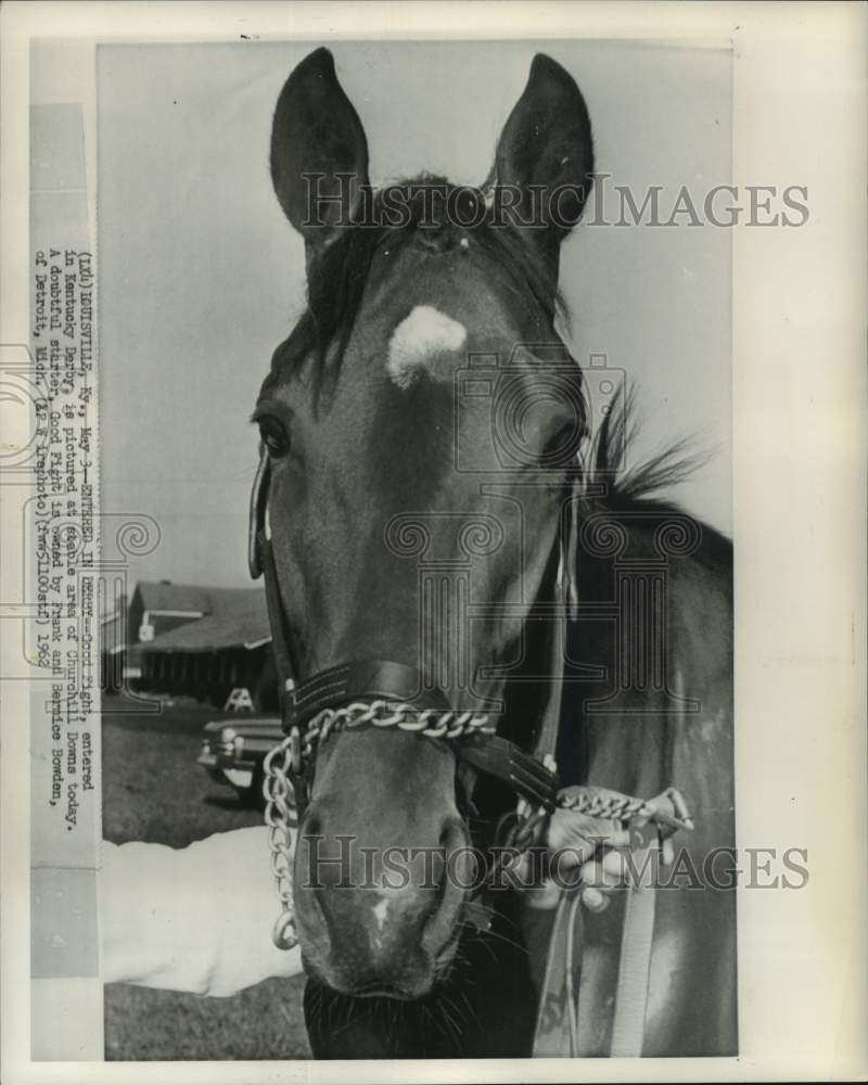 1962 Press Photo Frank and Bernice Bowden&#39;s horse &quot;Good Fight&quot;, Louisville, KY- Historic Images