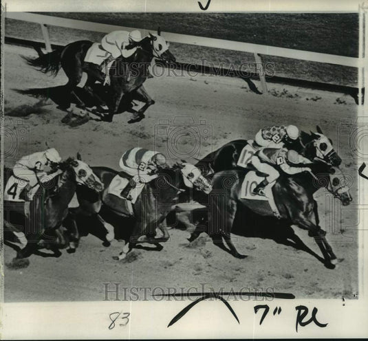 1966 Press Photo Cutacorner & other race horses in Hialeah Park, Florida- Historic Images