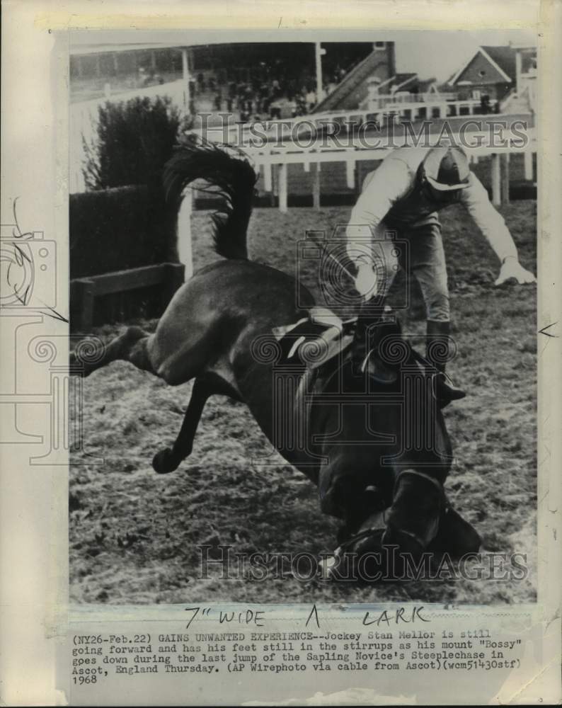 1968 Press Photo Jockey Stan Mellor falls off horse &quot;Bossy&quot; in Ascot, England- Historic Images