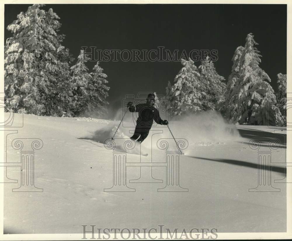 Press Photo Lone Skier Traverses Downhill On Tree-Lined Slope In New Powder Snow- Historic Images