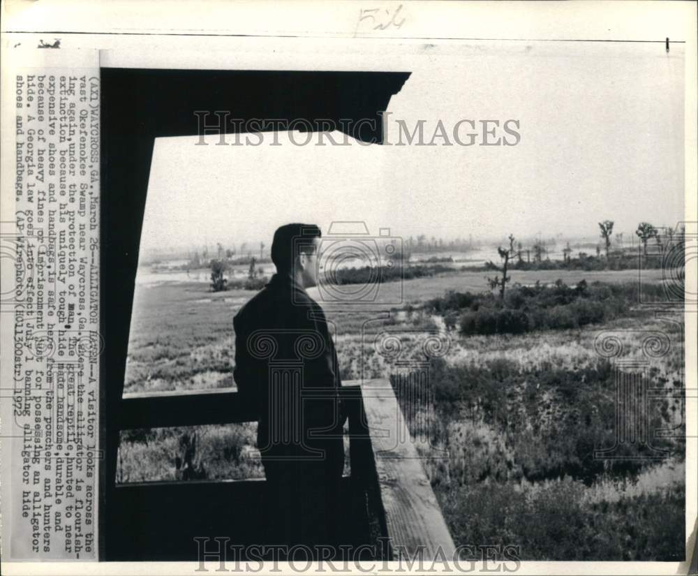 1972 Press Photo Man at a balcony overlooking alligator swamp near Waycross, GA