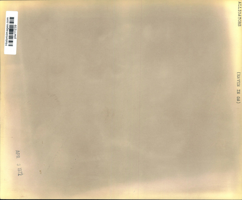 1972 Press Photo Man at a balcony overlooking alligator swamp near Waycross, GA