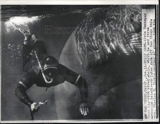 1963 Press Photo Skindiver Alvin Santmyer 
