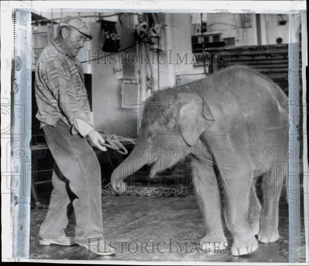 1956 Press Photo William Van Rhijin & elephant "Tuy Hoa" at Portland Zoo in OR