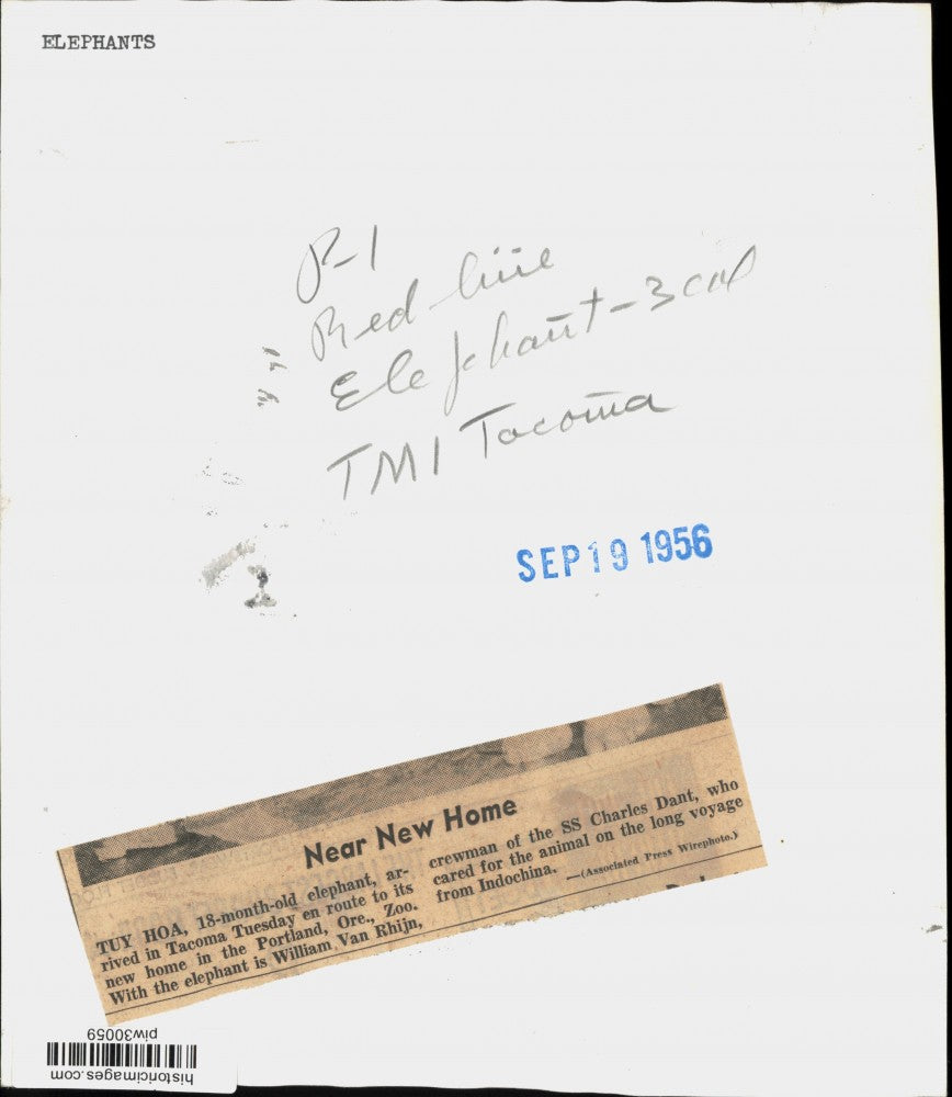 1956 Press Photo William Van Rhijin & elephant "Tuy Hoa" at Portland Zoo in OR