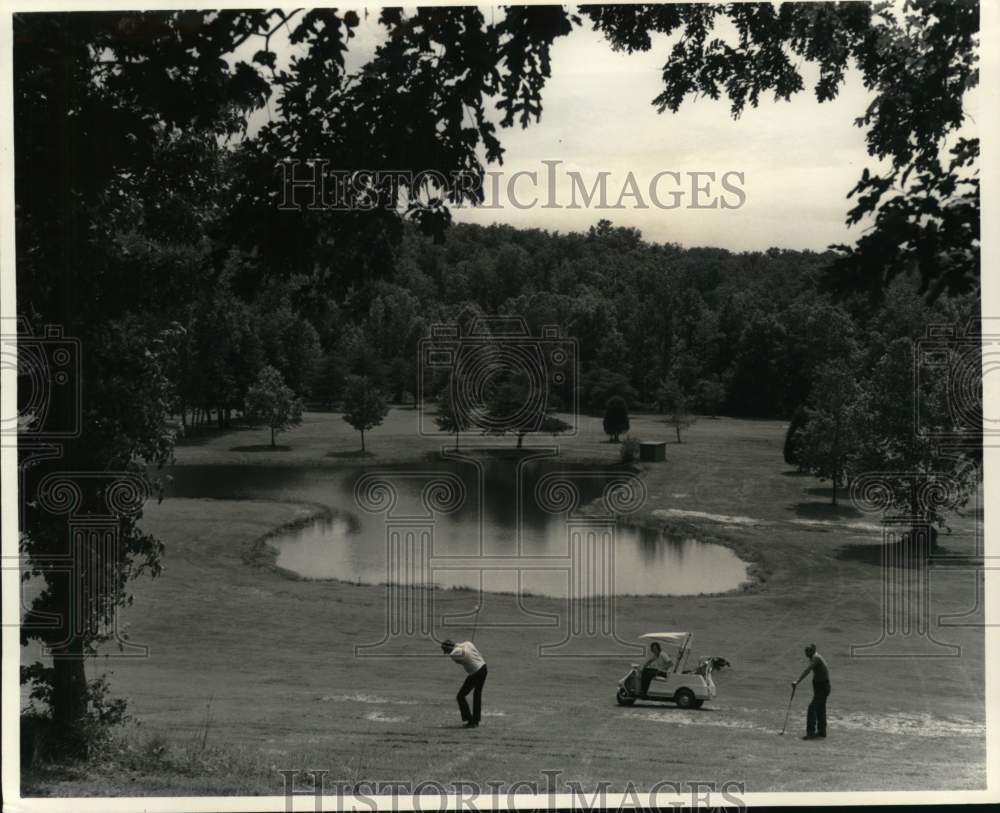 1977 Press Photo Golfers at golf course in Kentucky - pix13935- Historic Images