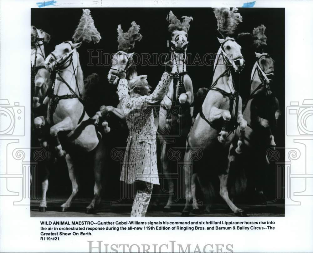 1989 Press Photo Gunther Gebel-Williams &amp; Lippizaner Horses in Circus Show- Historic Images
