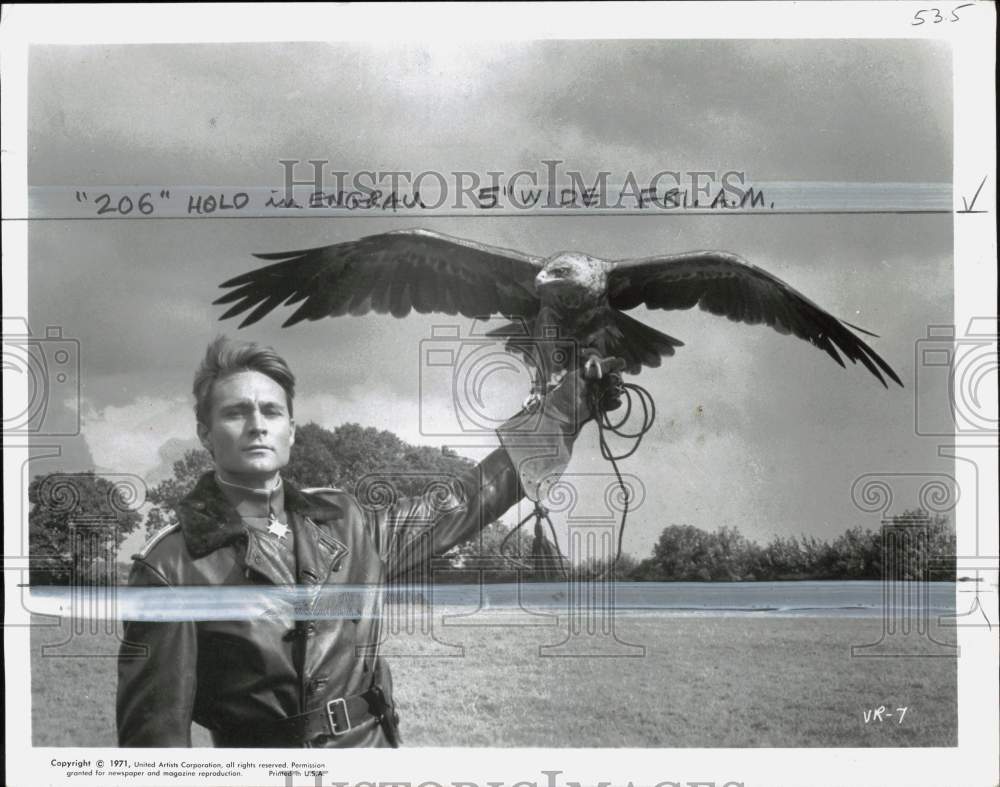 1971 Press Photo John Phillip Law releases hawk in &quot;Von Richthofen and Brown&quot;- Historic Images