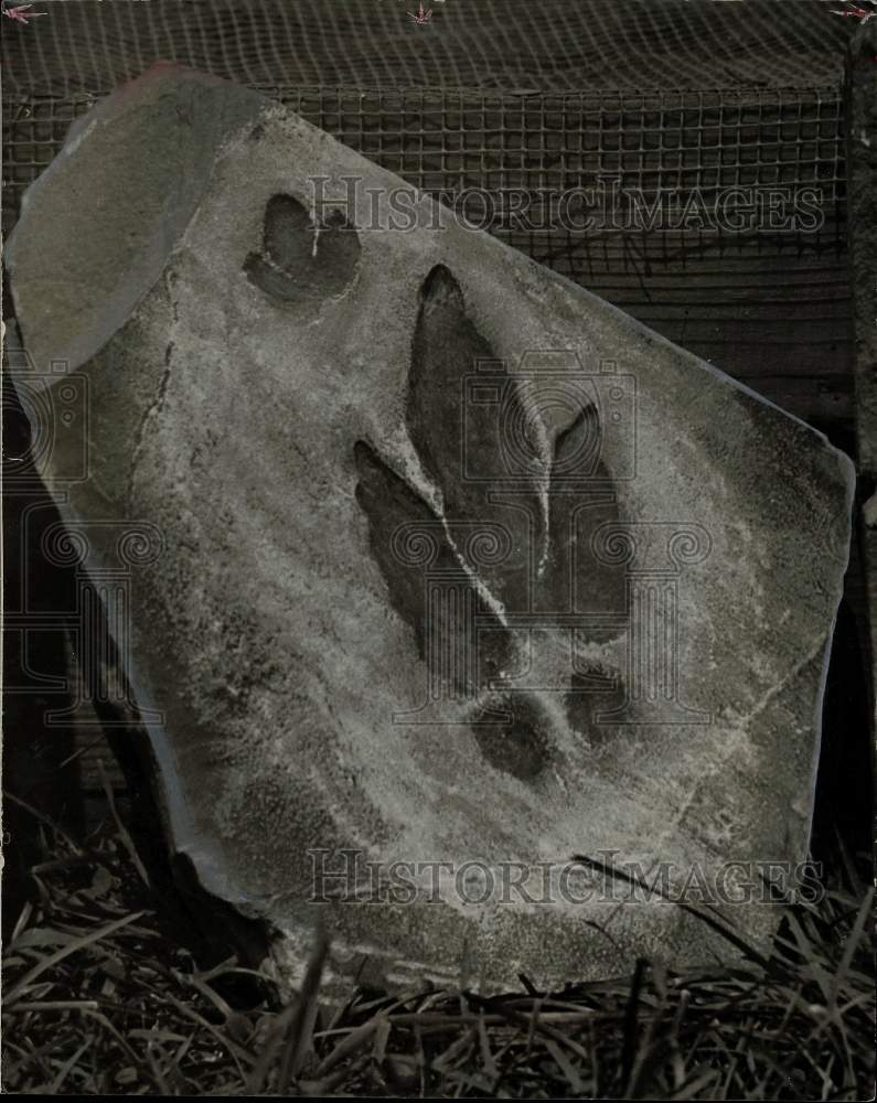 1933 Press Photo Animal Print Cast in Stone - pna20630
