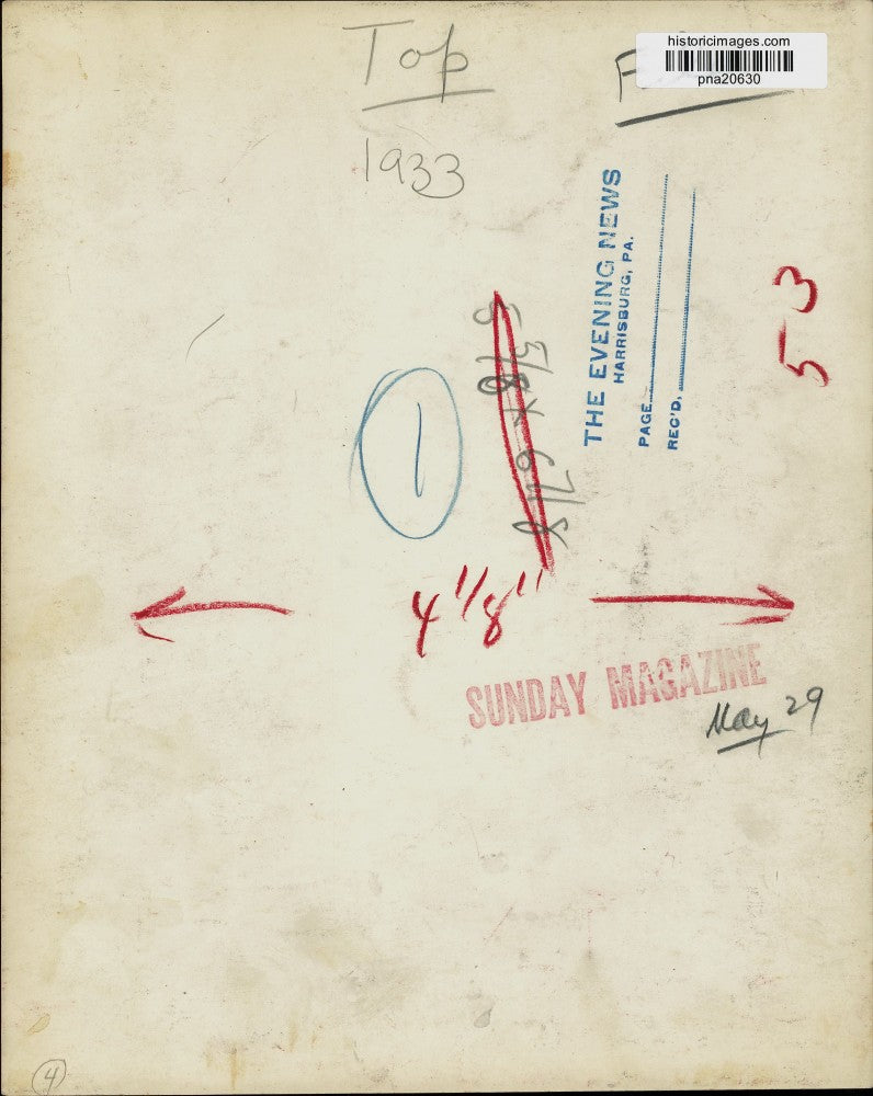 1933 Press Photo Animal Print Cast in Stone - pna20630