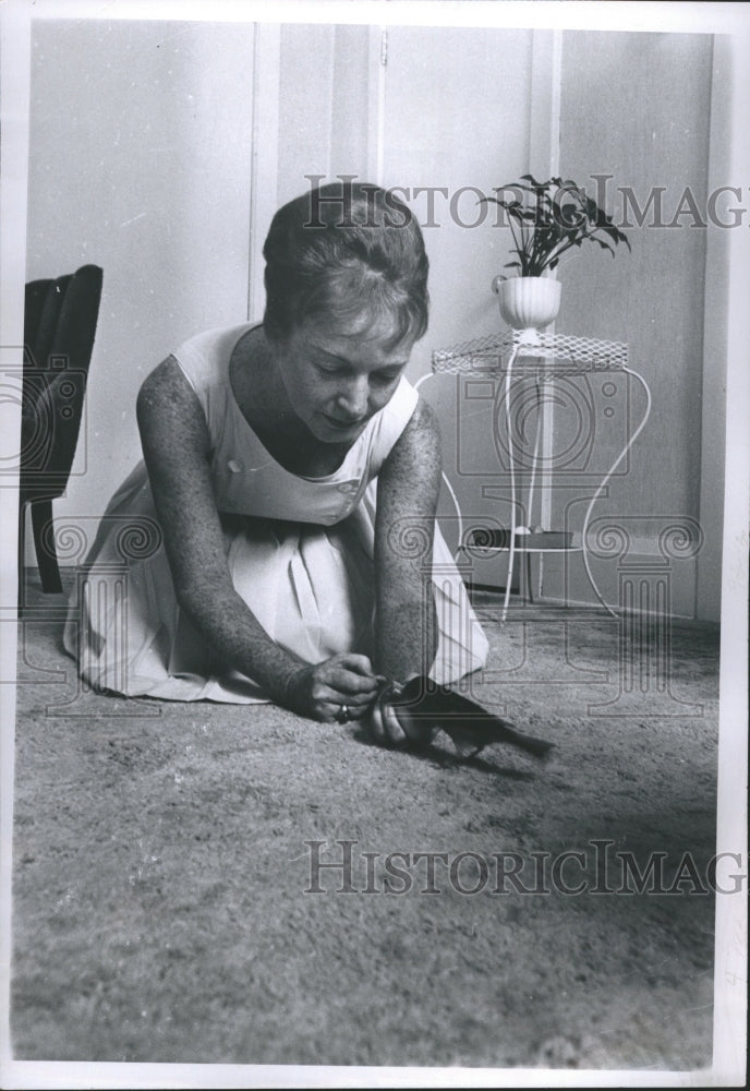 1965 Press Photo Mrs. Atkinson feeds Sparrows - rrr09693- Historic Images
