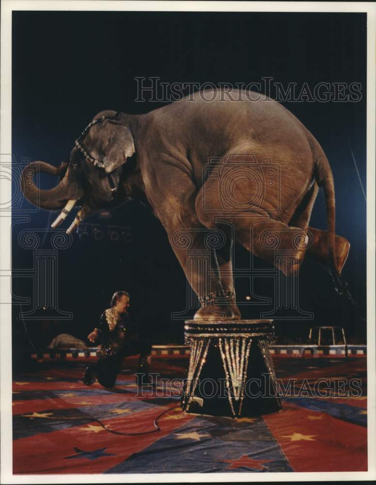 2000 Press Photo Circus Elephant &quot;Broadway Bo&quot; with Trainer at Performance- Historic Images