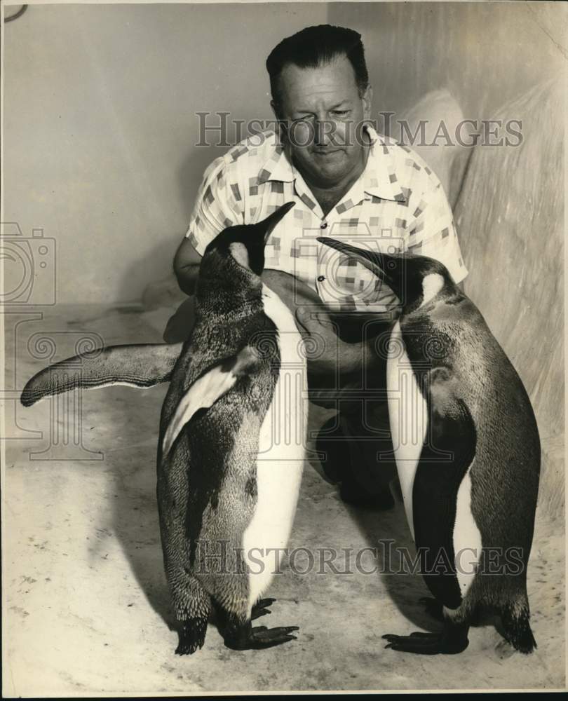 1951 Press Photo Photos of gentleman with Penguins and baseball player