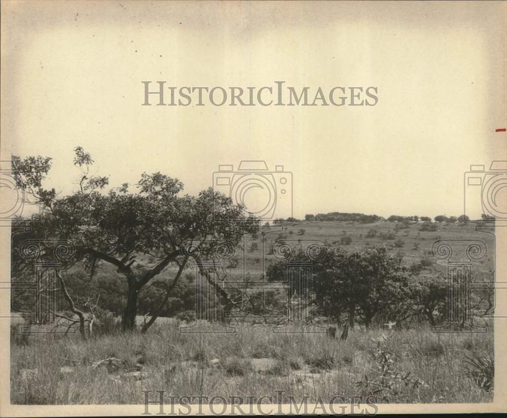 Press Photo HIll Country Outside San Antonio - saa55291
