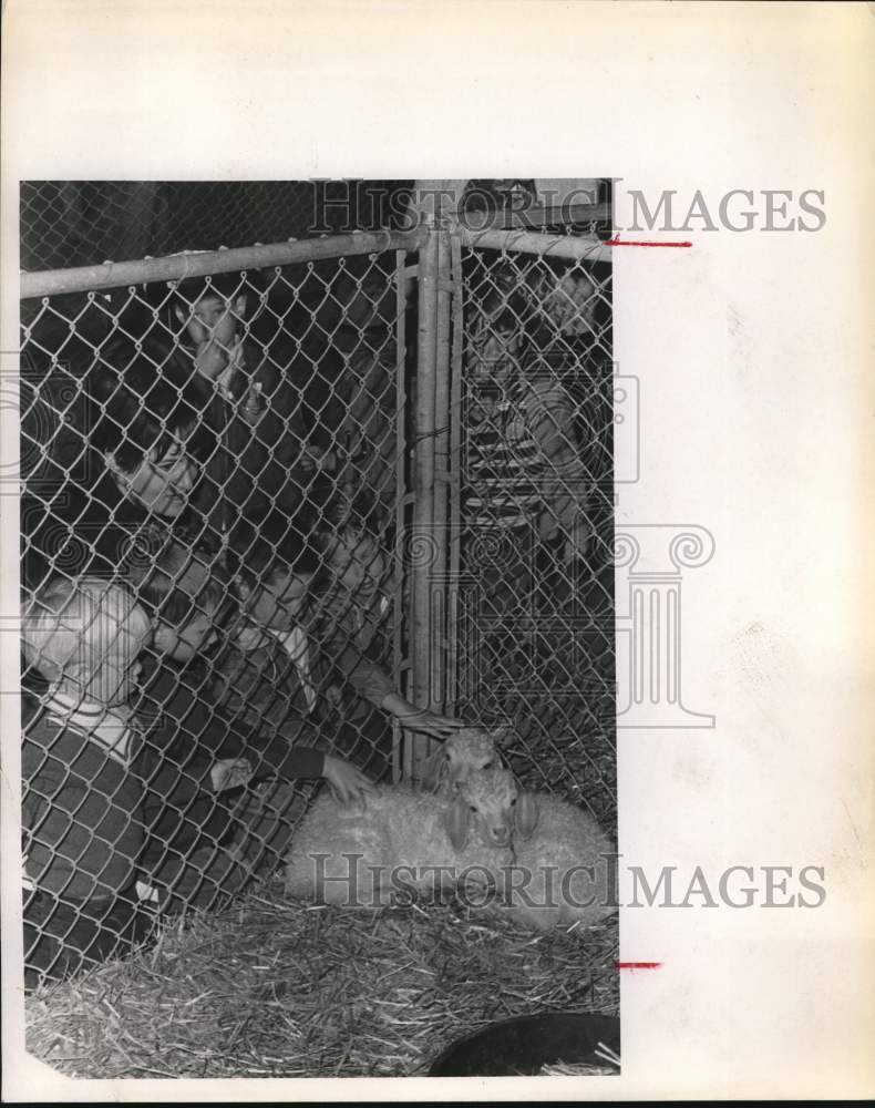 1970 Press Photo Unitarian Kindergarten class visits San Antonio Livestock Show- Historic Images