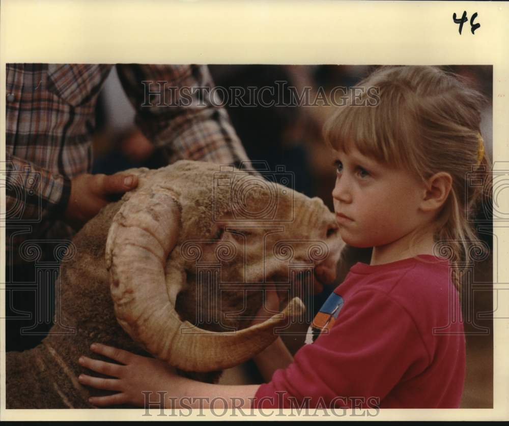 1988 Press Photo Kaci Kohl, 7, and Rambouillet Ewe at Stock Show, Texas- Historic Images