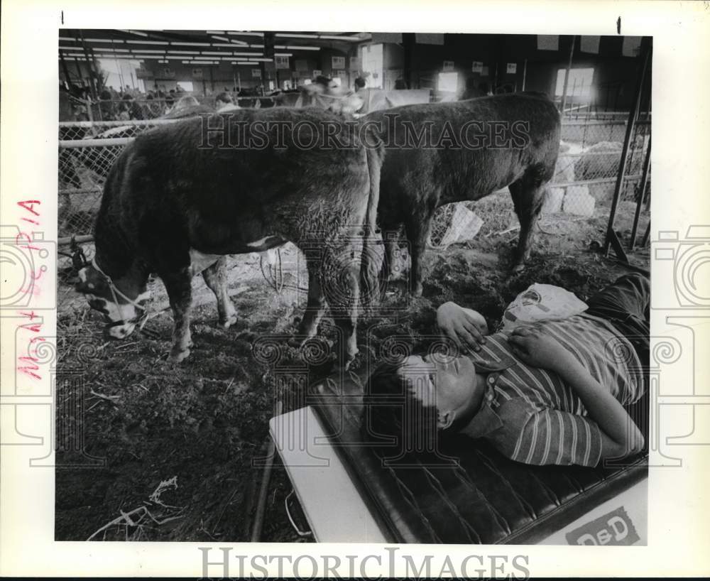 1983 Press Photo Clay Lloyd, 11, taking break at San Antonio Stock Show, Texas- Historic Images