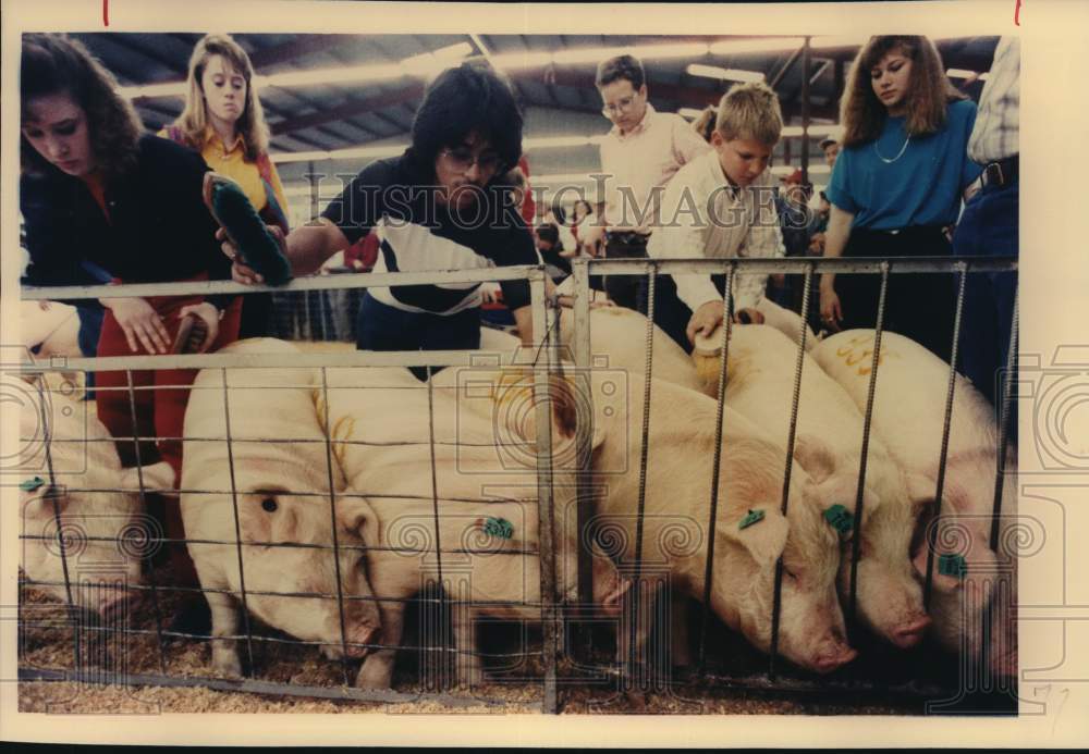 1990 Press Photo Chester Barrows at the San Antonio Stock Show & Rodeo- Historic Images