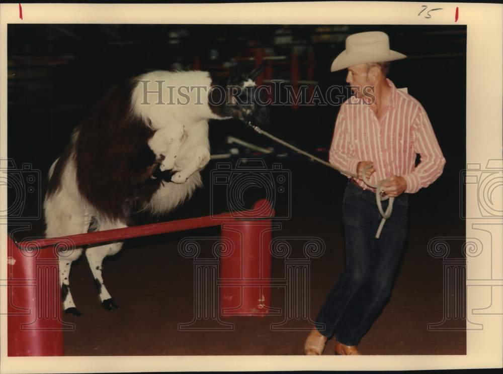 1990 Press Photo David Allen leads his llama over hurdle at Stock Show, Texas- Historic Images