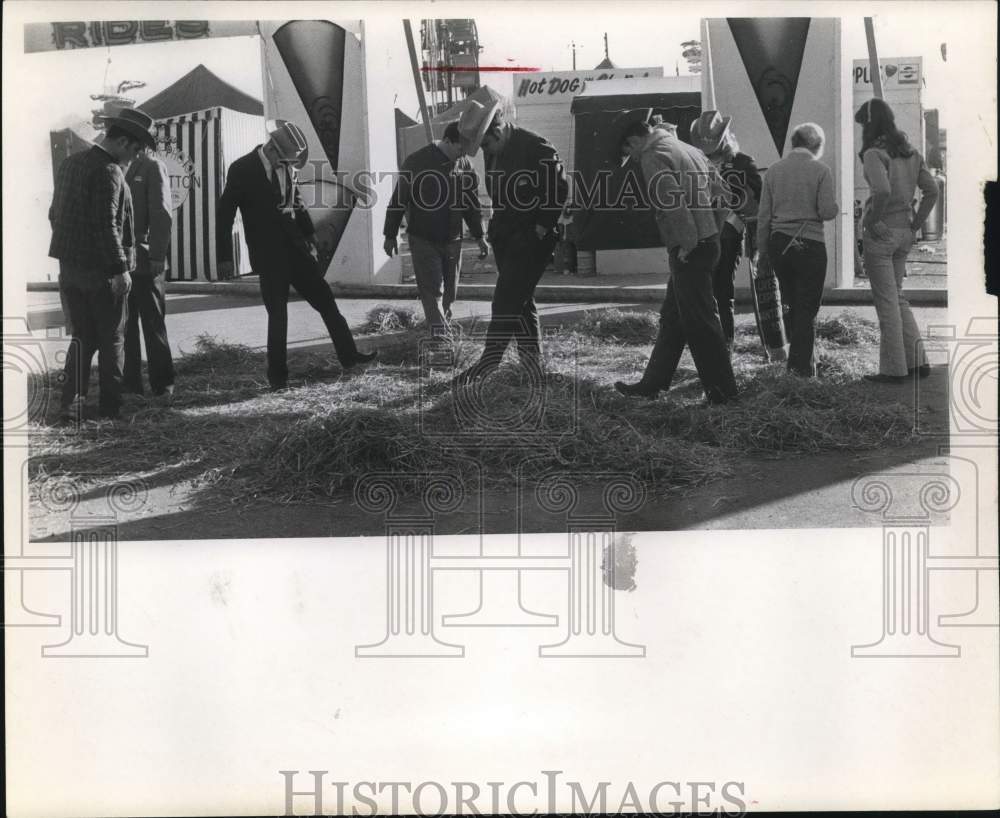 Press Photo People search hay for knob of champion banner in San Antonio, Texas- Historic Images