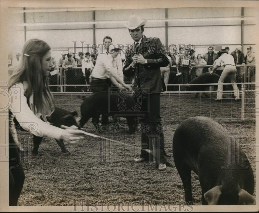 1977 Press Photo Hog judging at the San Antonio Stock Show &amp; Rodeo - saa58453- Historic Images