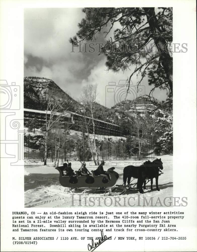 Press Photo Horse drawn sleigh ride in Durango, Colorado - saa62364- Historic Images