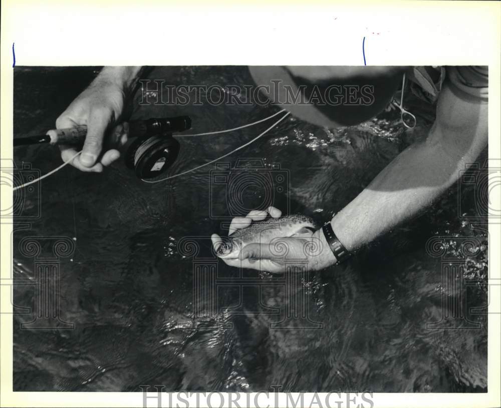 1993 Press Photo Rainbow Trout being released into San Miguel River, Colorado- Historic Images