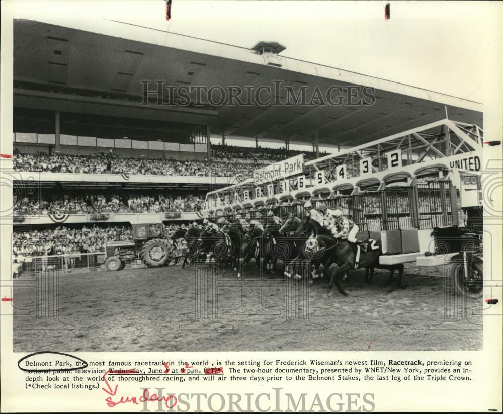 Press Photo Thoroughbred racing at Belmont Park- Historic Images