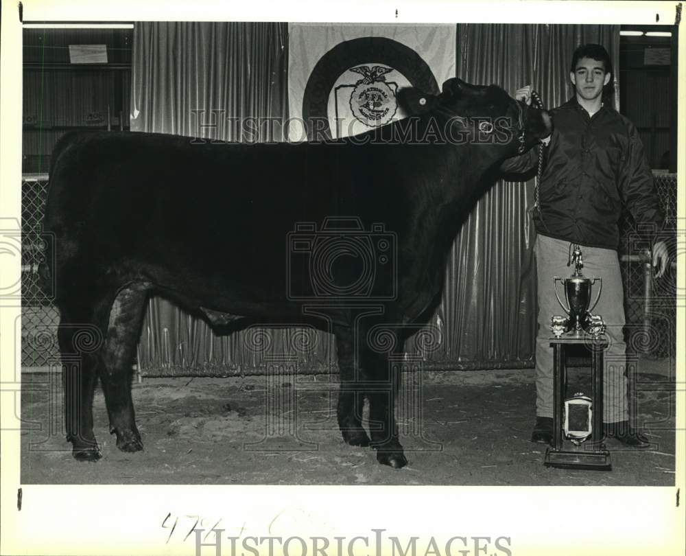 1988 Press Photo Bexar County Jr. Livestock Show Grand Champion Steer- Historic Images