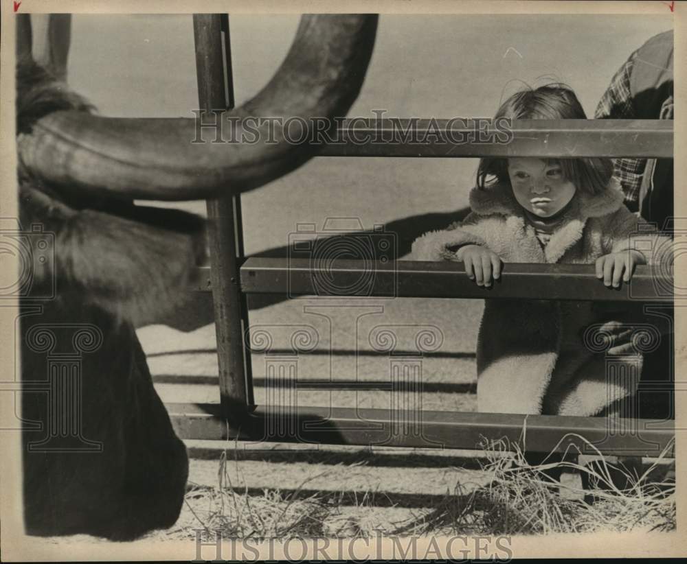 1979 Press Photo Child And Longhorn Steer At San Antonio Stock Show &amp; Rodeo- Historic Images