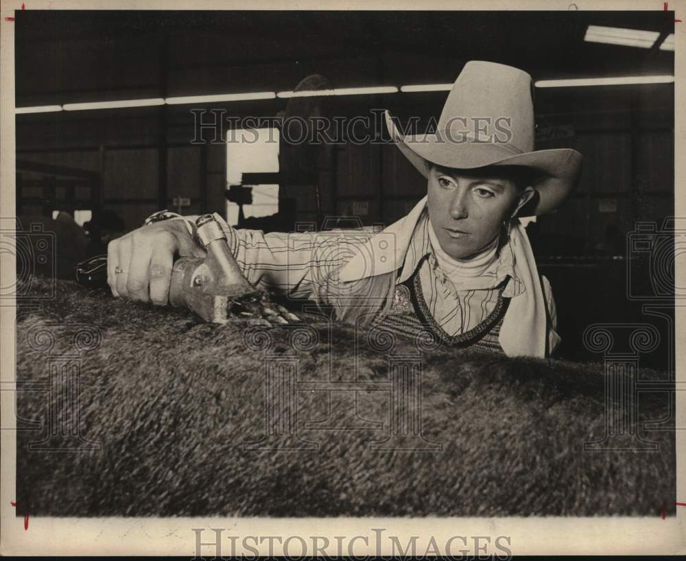 1978 Press Photo Cindie Warnke trims steer at San Antonio Stock Show &amp; Rodeo, TX- Historic Images