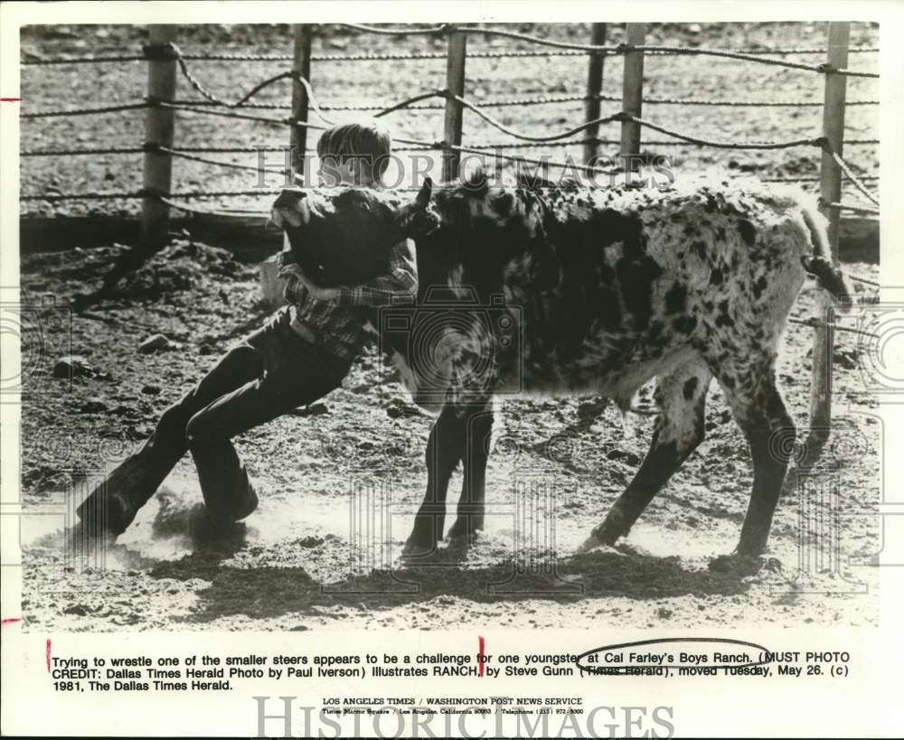 1981 Press Photo Boy wrestling a steer at Cal Farley's Boys Ranch- Historic Images