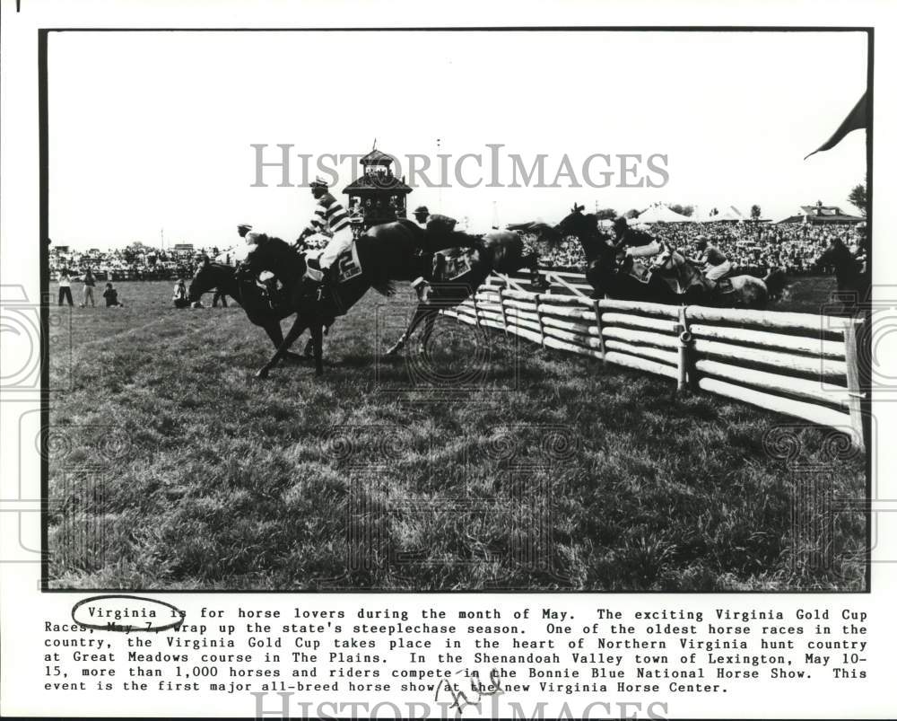 Press Photo Virginia Gold Cup Horse Races at Great Meadows Course in Lexington- Historic Images