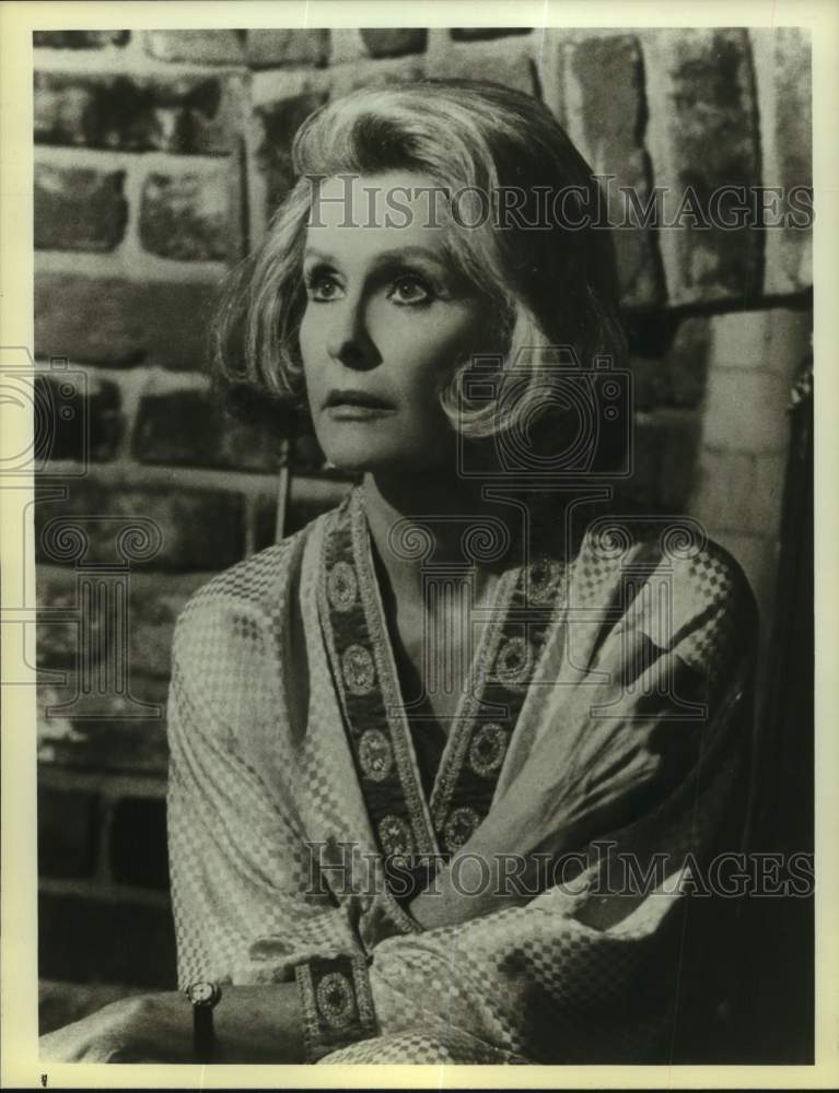 1984 Press Photo Dina Merrill stars in Hot Pursuit, on NBC Television.- Historic Images