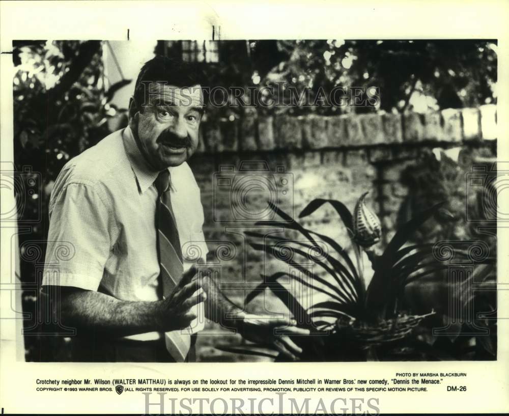 1993 Press Photo Actor Walter Matthau in &quot;Dennis the Menace&quot; movie - sap14630- Historic Images