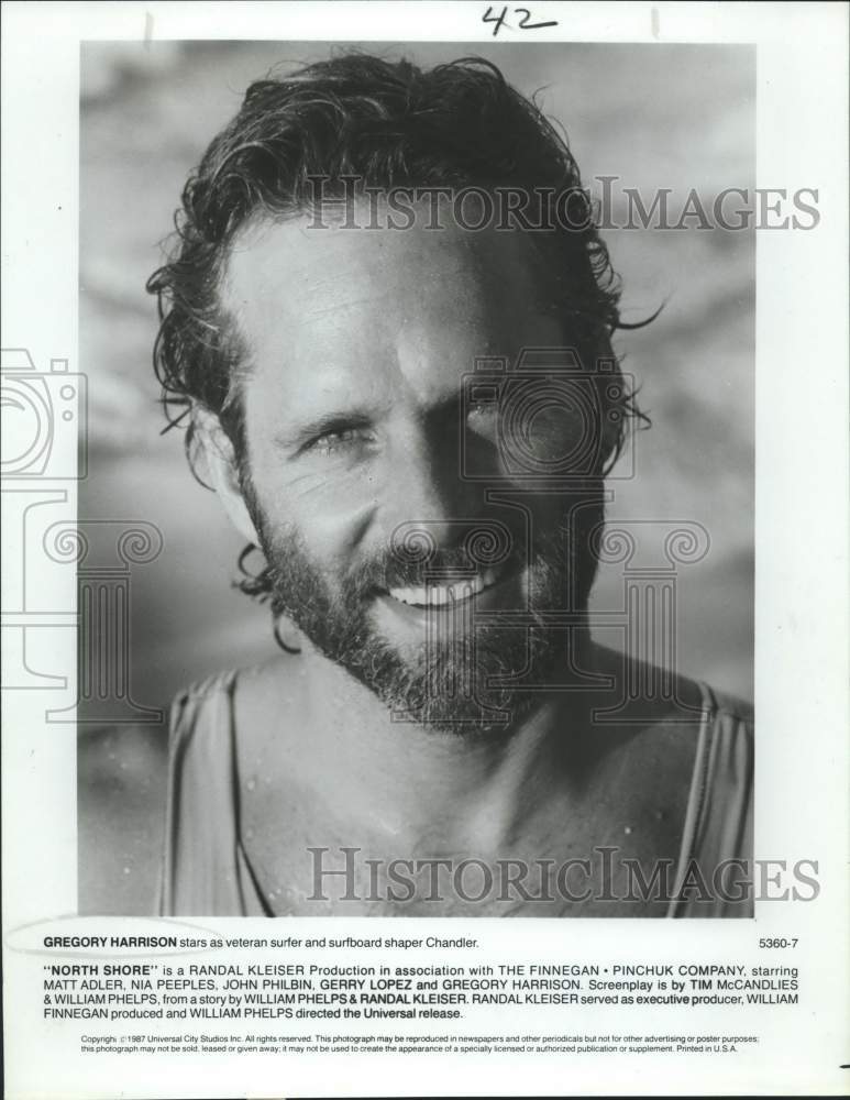 1987 Press Photo Actor Gregory Harrison stars in &quot;North Shore&quot; movie closeup- Historic Images