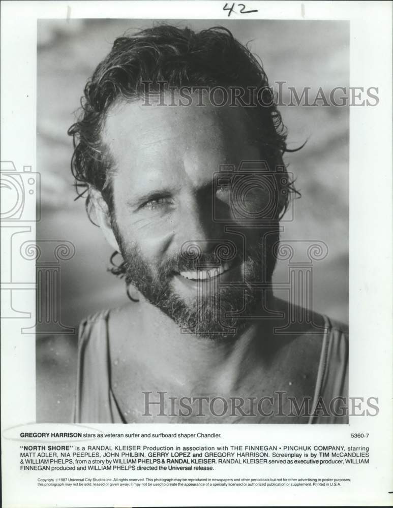 1987 Press Photo Actor Gregory Harrison stars in "North Shore" movie closeup- Historic Images
