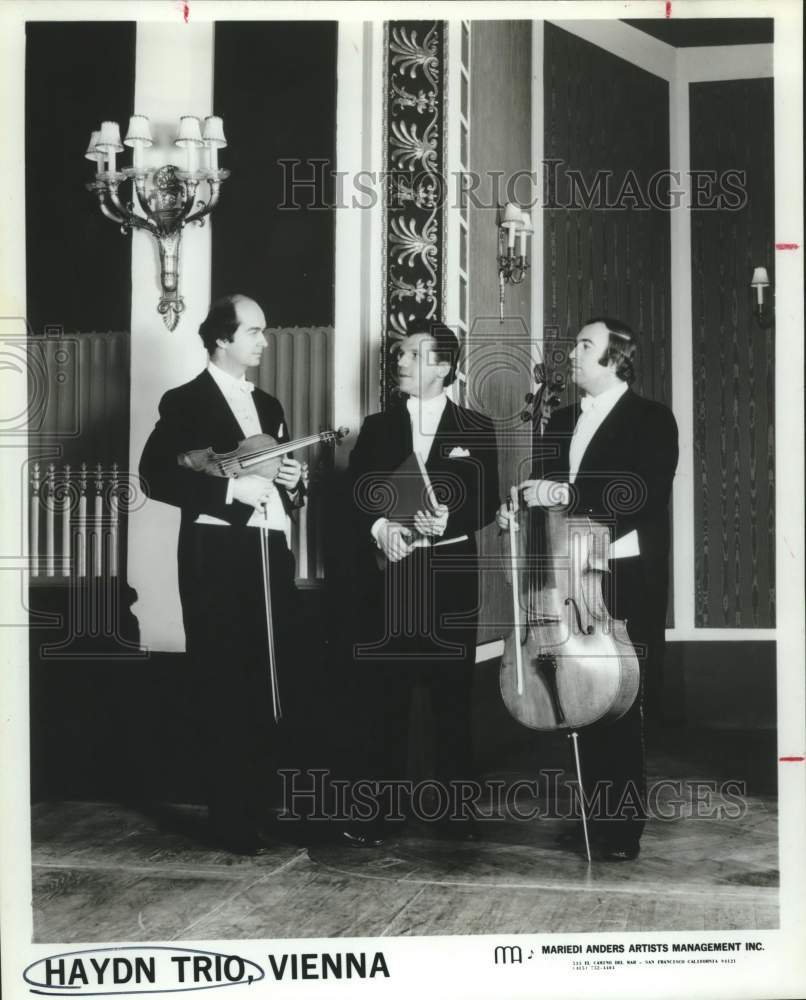 1979 Press Photo Haydn Trio, Vienna, Three Members of Musical Group - sap16061- Historic Images