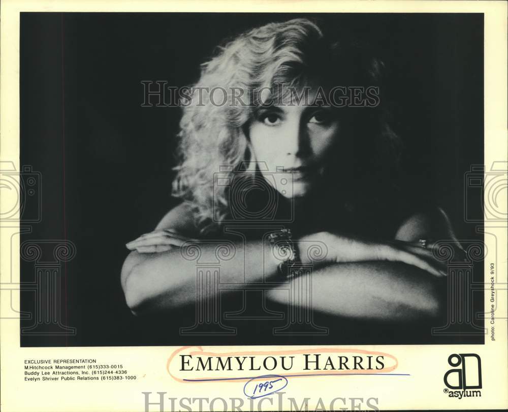 1993 Press Photo Singer Emmylou Harris, Musician - sap16996- Historic Images