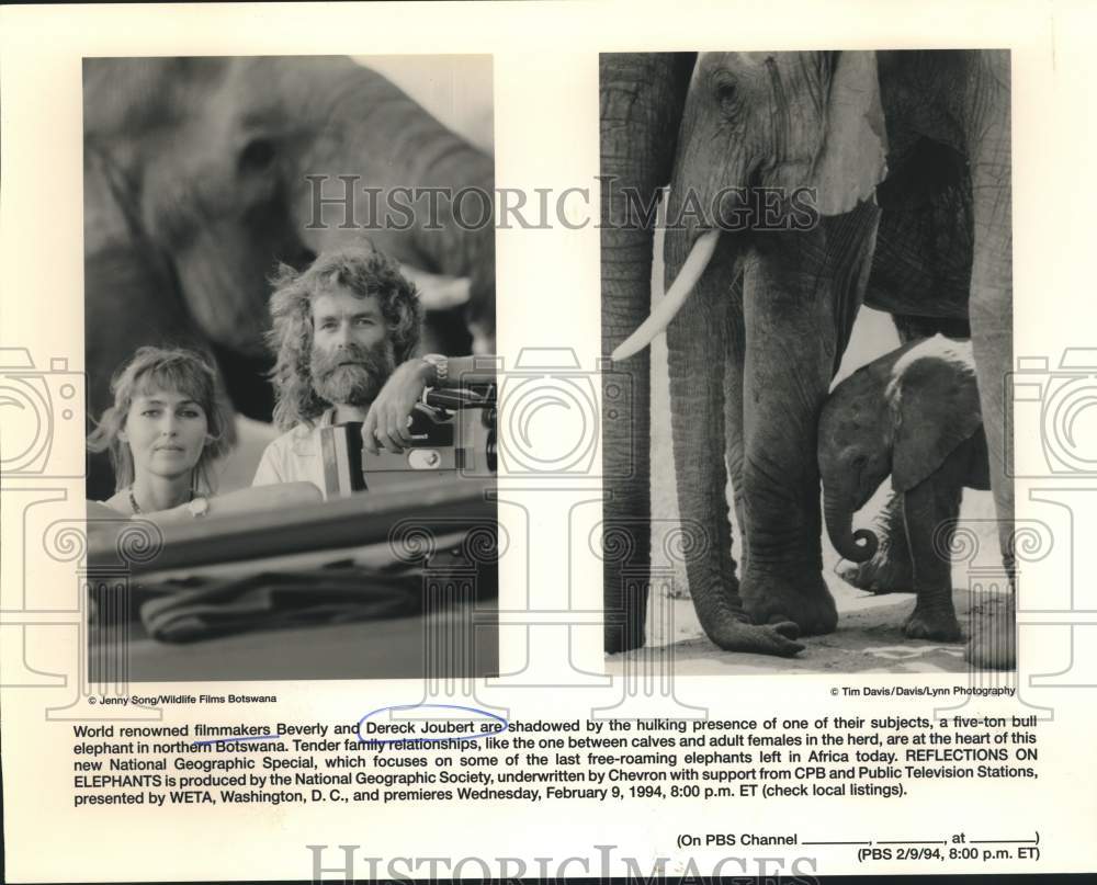 1994 Press Photo Filmmakers Beverly, Dereck Jourbert and Botswana Bull Elephants- Historic Images