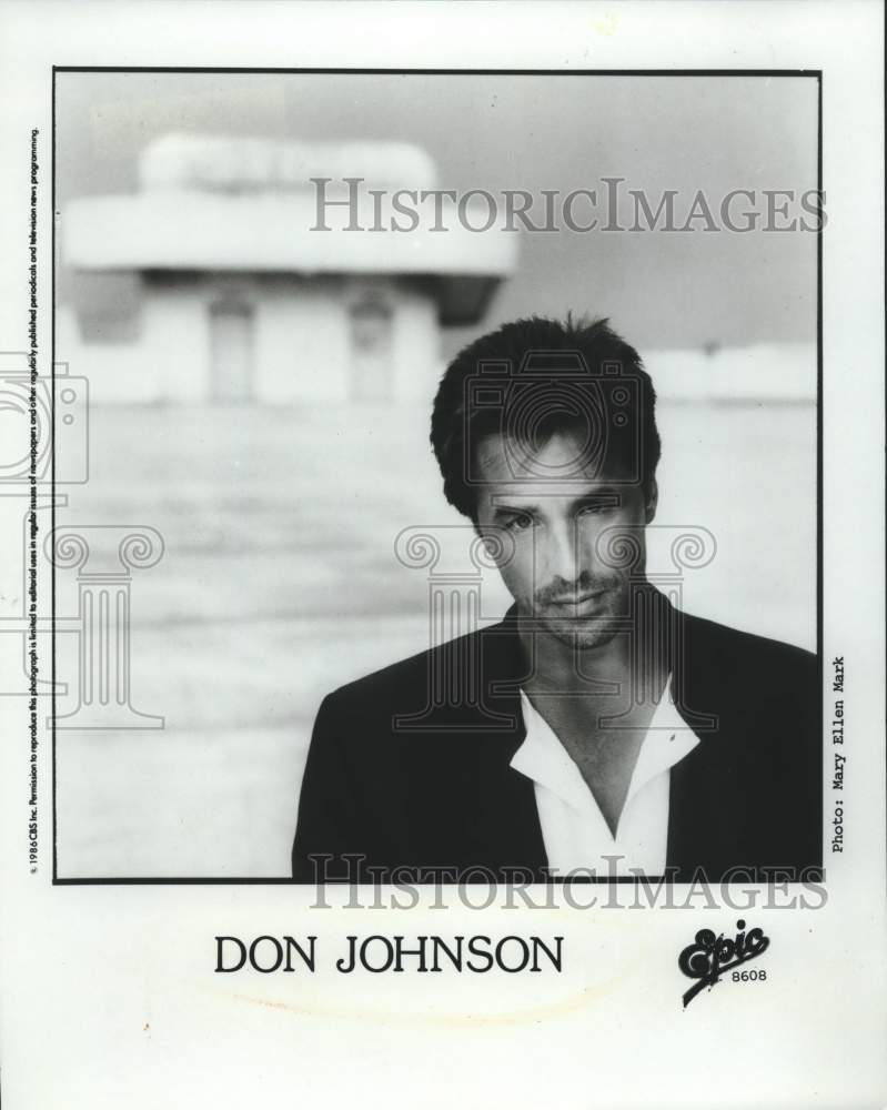 1986 Press Photo Musician Don Johnson - sap18148- Historic Images