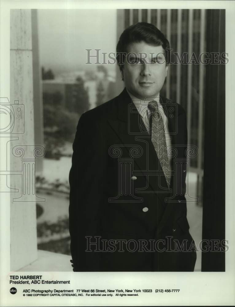 1992 Press Photo Ted Harbert, President of ABC Entertainment - sap19152- Historic Images