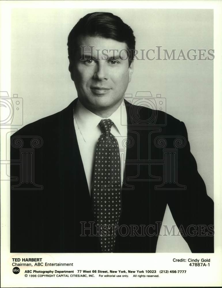1996 Press Photo Ted Harbert, Chairman of ABC Entertainment - sap19153- Historic Images