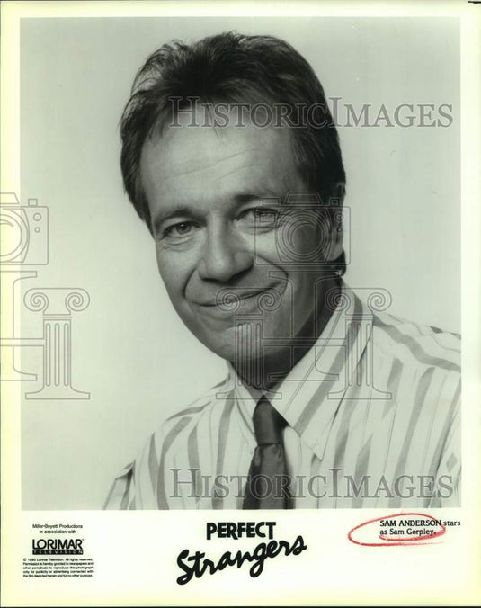 1990 Press Photo Actor Sam Anderson stars as Sam Gorpley in "Perfect Strangers"- Historic Images