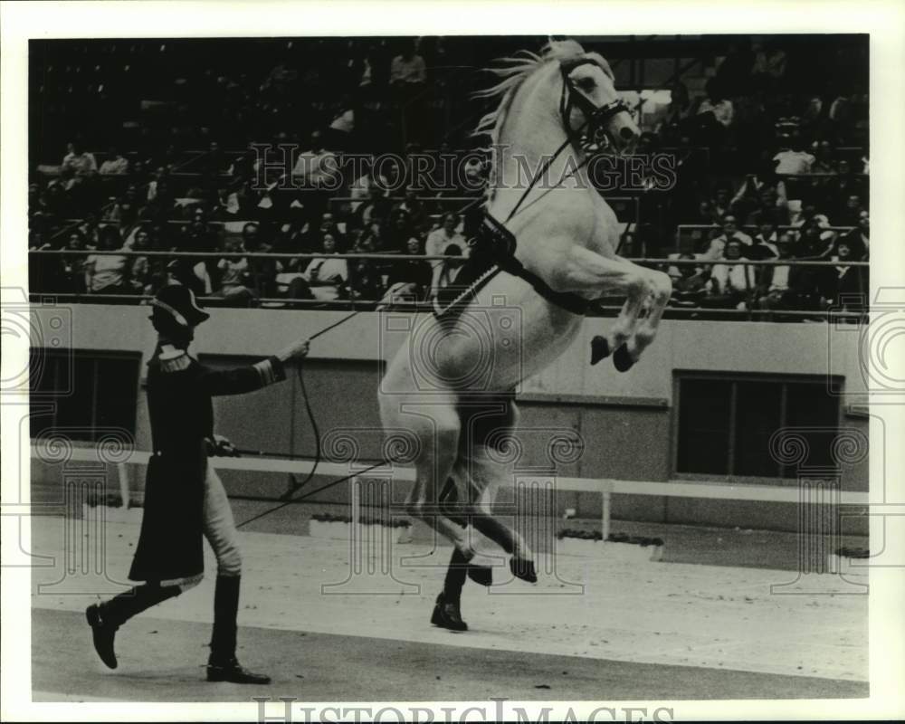 Press Photo Trainer Performs With Royal Lipizzaner Horse in Arena - sap51940- Historic Images