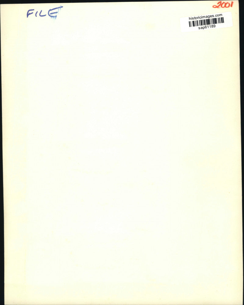 2001 Press Photo Columbia Records recording artist Bob Dylan - sap61189