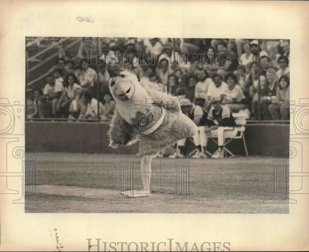 Press Photo The San Diego chicken performs at a baseball game in San Antonio- Historic Images