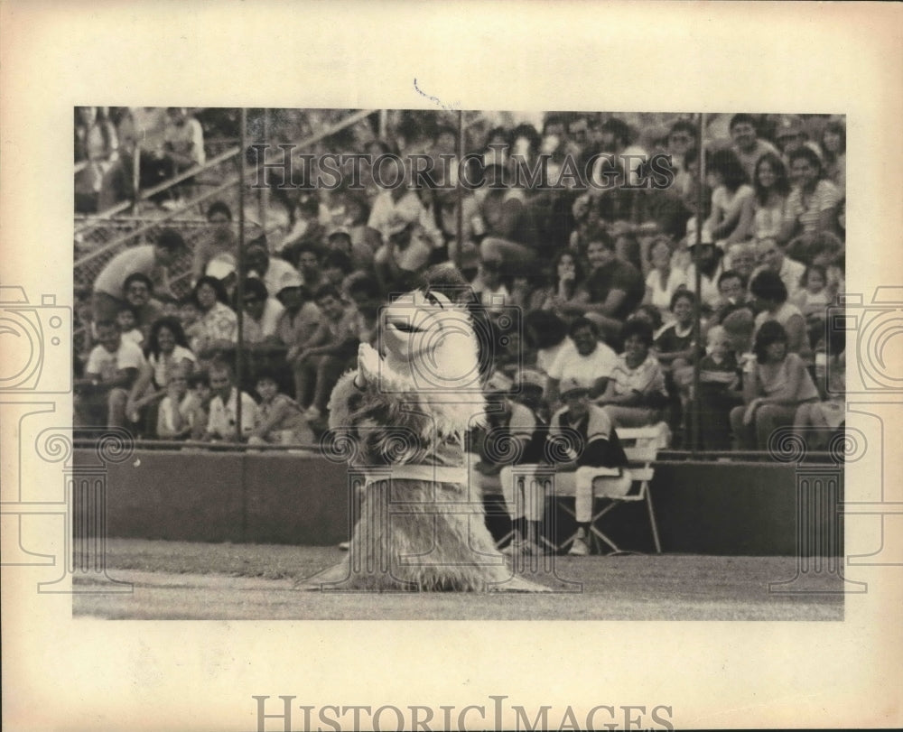 Press Photo The San Diego Chicken prays during a performance in San Antonio- Historic Images