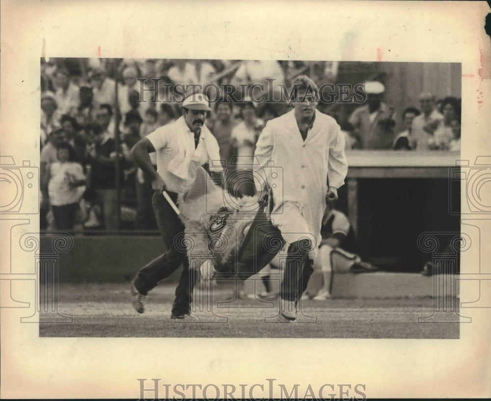 1982 Press Photo The San Diego Chicken is stretchered off in San Antonio- Historic Images