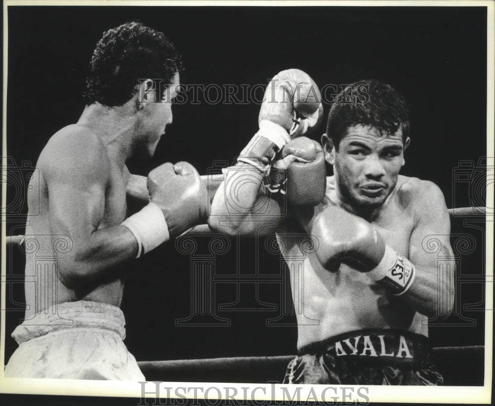 1986 Press Photo Boxers Aaron Lopez and Mike Ayala in the Ring - sas04271- Historic Images